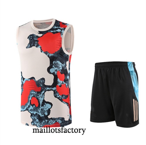 Achat Maillot d'entrainement Bayern Munich Debardeur 2025/26 Rouge/Noir/Bleu Kit