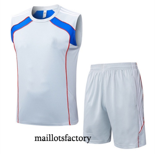 Soldes Maillot d'entrainement Bayern Munich Debardeur 2025/26 Gris/Bleu Kit