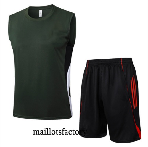 Achetez Maillot d'entrainement Bayern Munich Debardeur 2025/26 Vert/Rouge/Blanc Kit