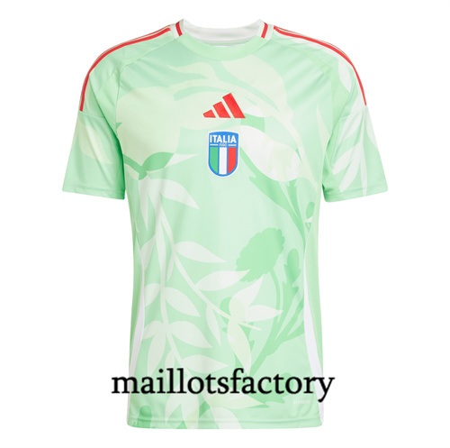 Maillot du Italie 2025/26 Vert