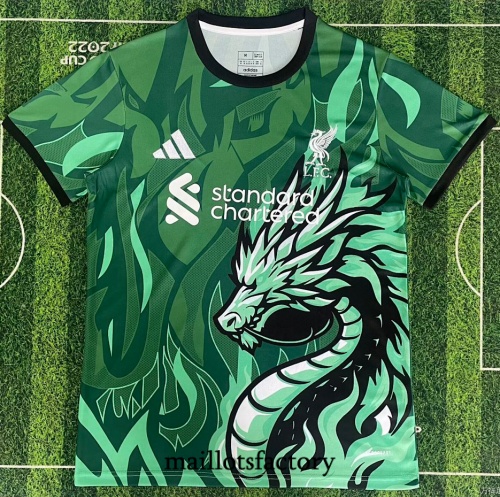 Maillot du Liverpool 2025/26 Spécial Vert