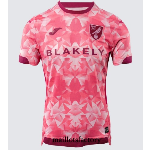Maillot du Norwich City 2025/26 Third